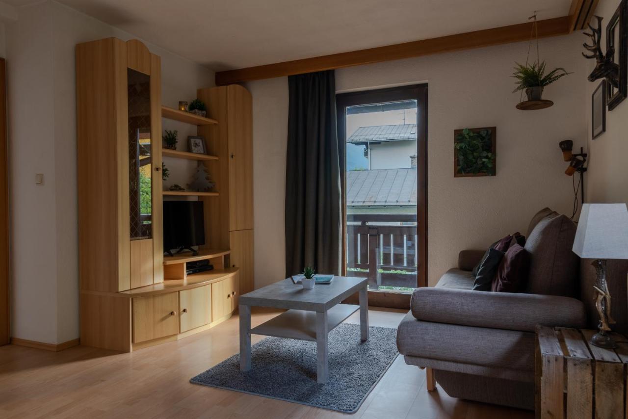 Apartment, Haus Lederer Apartament Zell am See